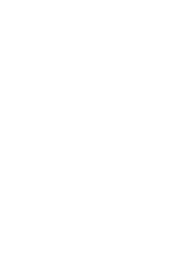 Premium Japanese MATCHA